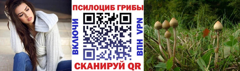 omg зеркало  мориарти состав  Галлюциногенные грибы Magic Shrooms  Саки 